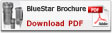 download PDF